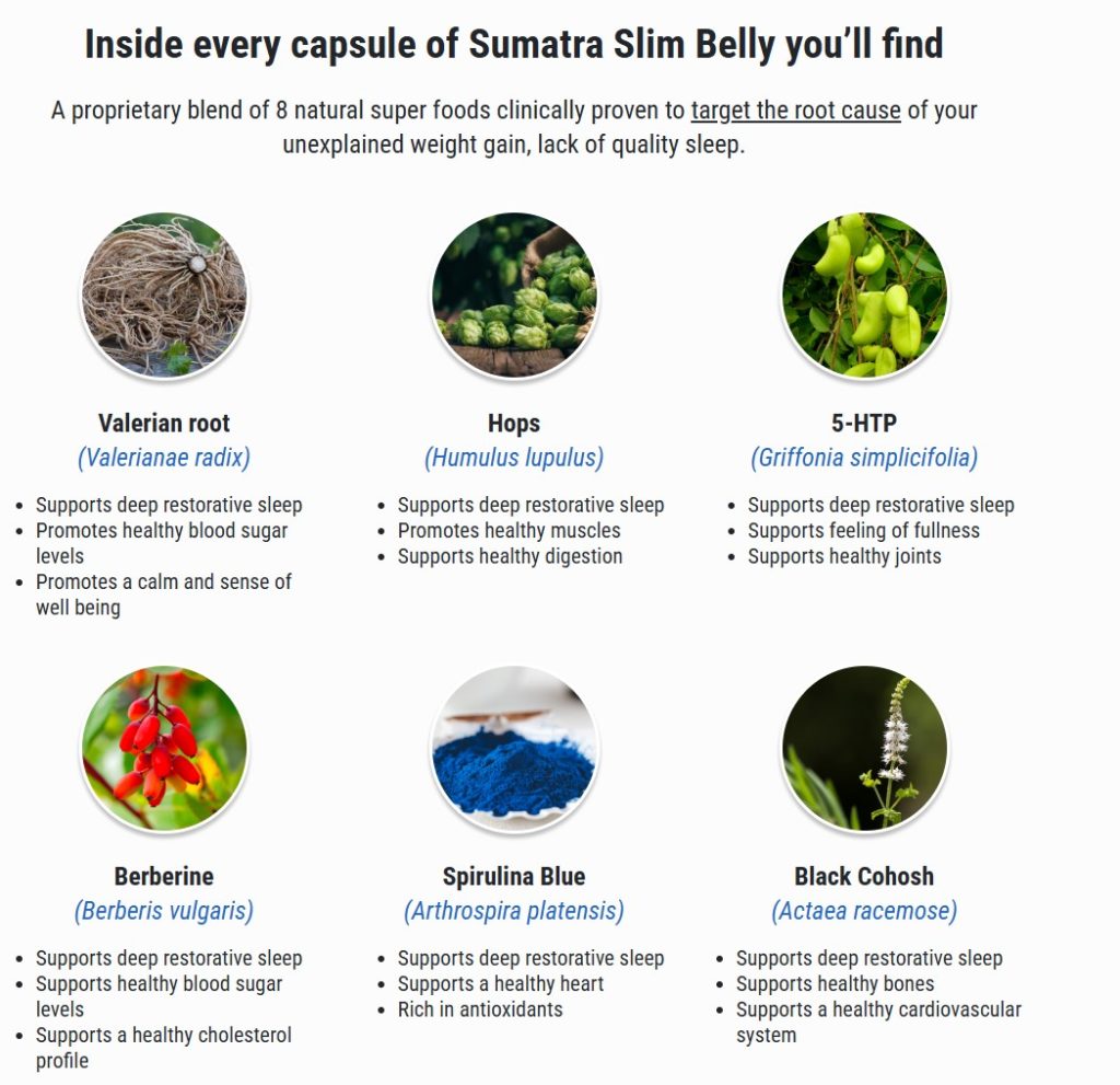 Sumatra Slim Belly Tonic Ingredients